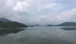 莆田水库爆料视频最新消息,揭秘水质状况与治理进展