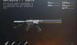 枪械模组最新爆料游戏,未来战场上的神秘武器即将亮相