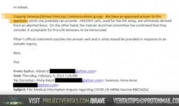 辉瑞员工爆料最新,疫苗研发内幕曝光，真相令人震惊！