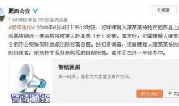 合肥最新爆料视频,揭秘城市新动态与神秘事件