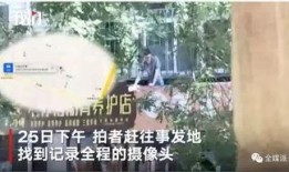 最新台风爆料新闻报道视频,揭秘神秘风暴的行踪与影响