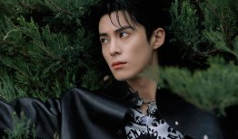 王鹤棣喜欢白鹿吗最新爆料,最新爆料揭秘心动瞬间