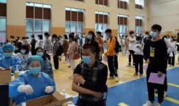 虐猫爆料贴吧最新消息,最新爆料揭示惊人内幕