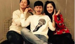 谢娜何炅最新爆料,娱乐圈背后的故事与趣闻