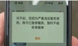 上海网约车最新爆料,行业变革在即，司机与乘客权益如何保障？