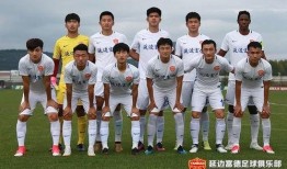 武汉卓尔队最新爆料,揭秘球队备战新赛季的幕后故事”