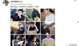 海归综艺爆料最新消息,揭秘明星留学背后的故事与心酸