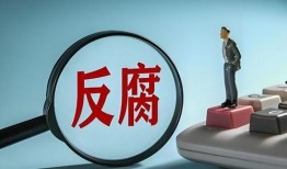 泉州媒体爆料案件最新,惊曝重大案件细节，案情扑朔迷离引关注