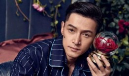 胡歌林奇最新爆料,揭秘娱乐圈不为人知的秘密