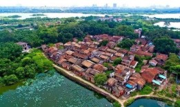 东莞茶山镇爆料事件最新,事件真相与后续进展全解析