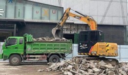 文安何小姐最新爆料消息,揭秘事件背后惊人真相