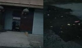 河北霸州爆料事件最新