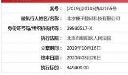 南京锤子爆料案件最新,真相与争议交织的科技圈悬疑剧
