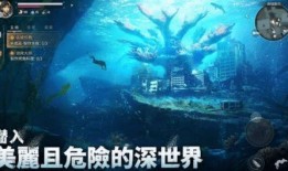 遗落海域最新爆料视频