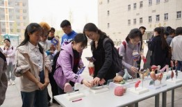 北京平安大学最新爆料,最新爆料背后的故事与真相