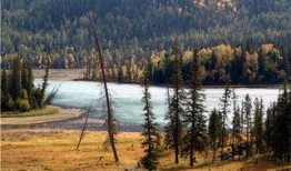 新疆旅游最新爆料新闻