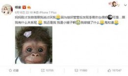 杨紫微博爆料最新消息,揭秘某明星恋情真相