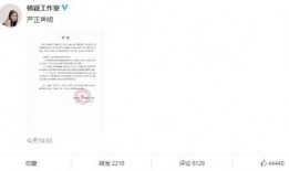 陈翔网红爆料视频大全最新,揭秘娱乐圈不为人知的秘密