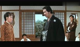 最新功夫女忍爆料,江湖传奇背后的真实故事