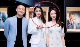 叶珂最新爆料,娱乐圈背后的惊人真相