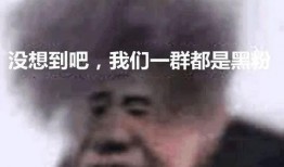 最新爆料坤坤表情包图片,萌态十足引网友热议