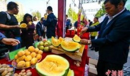 杨家坪吃瓜最新事件爆料,揭秘最新爆料背后的真相与争议