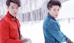 胡歌初恋爆料视频大全最新,揭秘昔日恋情背后的故事