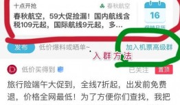 航线最新爆料信息网官网,揭秘官网独家航线动态与优惠信息