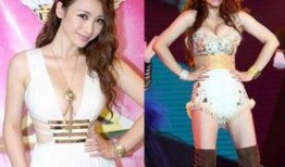 明星八卦柳岩大爆料最新,娱乐圈背后的惊人真相