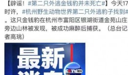 惠州金融爆料事件视频最新,揭露惊人内幕，真相即将揭晓